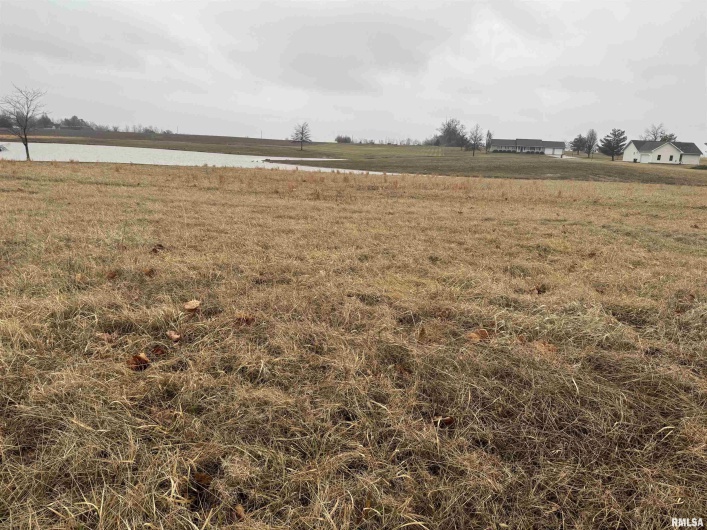 Lot 1&2 RALEIGH Road, Eldorado, Illinois 62930, 0 , 0 ,0,Land,For Sale,RALEIGH,0,RMAEB456696