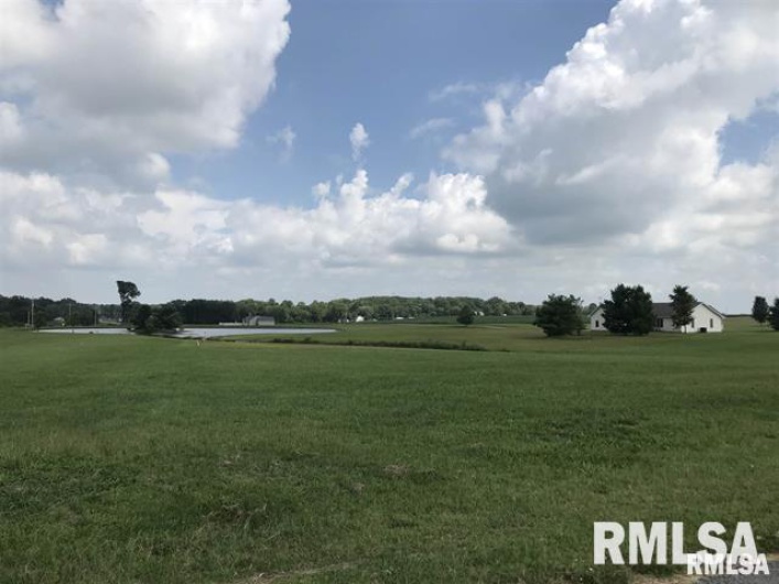 Lot 1&2 RALEIGH Road, Eldorado, Illinois 62930, 0 , 0 ,0,Land,For Sale,RALEIGH,0,RMAEB456696