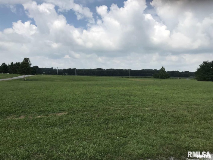 Lot 1&2 RALEIGH Road, Eldorado, Illinois 62930, 0 , 0 ,0,Land,For Sale,RALEIGH,0,RMAEB456696