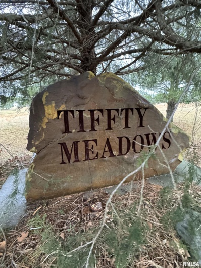 Lot 3 DOVE Lane, Eldorado, Illinois 62930, 0 , 0 ,0,Land,For Sale,DOVE,0,RMAEB456697
