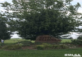 Lot 4 DOVE Lane, Eldorado, Illinois 62930, 0 , 0 ,0,Land,For Sale,DOVE,0,RMAEB456698