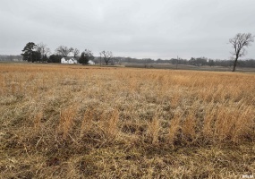 Lot 6 DOVE Lane, Eldorado, Illinois 62930, 0 , 0 ,0,Land,For Sale,DOVE,0,RMAEB456694