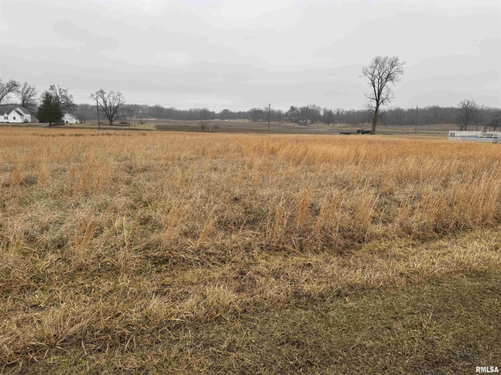Lot 6 DOVE Lane, Eldorado, Illinois 62930, 0 , 0 ,0,Land,For Sale,DOVE,0,RMAEB456694