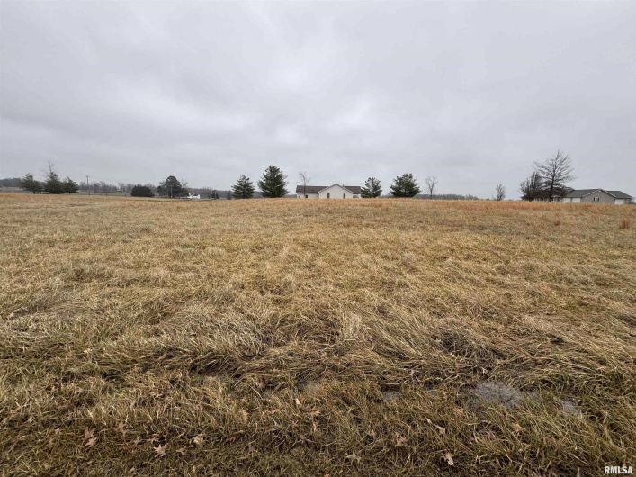 Lot 12 DOVE Lane, Eldorado, Illinois 62930, 0 , 0 ,0,Land,For Sale,DOVE,0,RMAEB456692