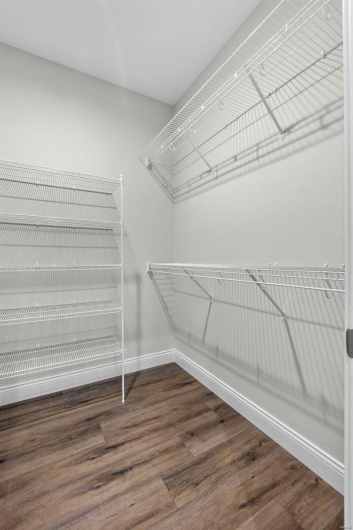 Spacious closet with dark hardwood / wood-style floors