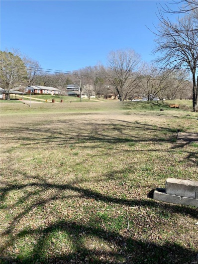 1241 Main St., Piedmont, Missouri 63957, ,Farm,For Sale,Main St.,MAR24017657