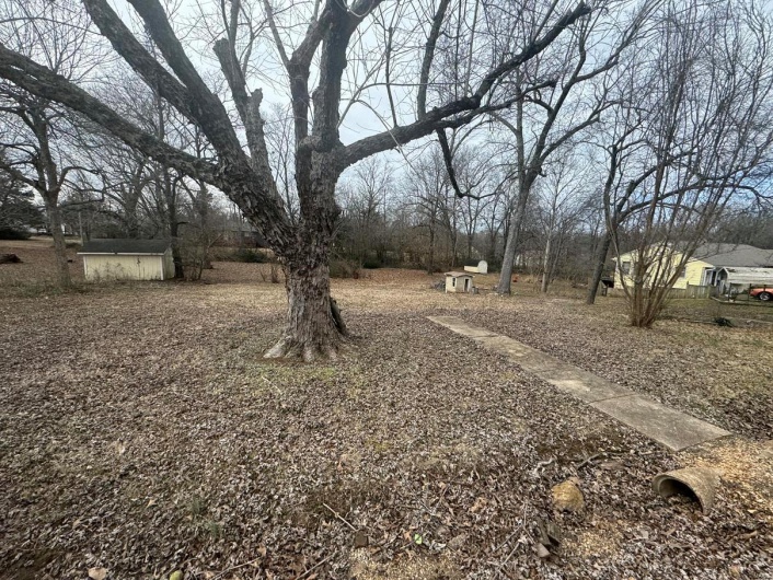 View of yard with a storage shed
