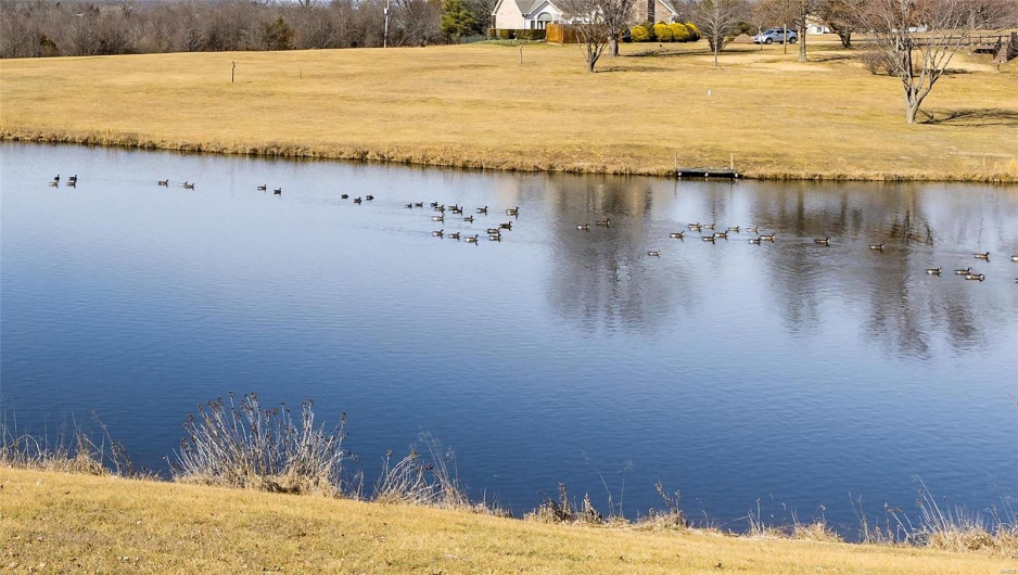 4645 Quail Run Rd., Farmington, Missouri 63640, 3 Bedrooms Bedrooms, 9 Rooms Rooms,3 BathroomsBathrooms,Residential,For Sale,Quail Run Rd.,MAR25006649