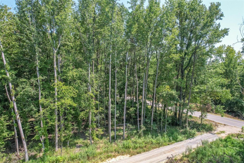 0 Tract 8a Highway 158, Harviell, Missouri 63945, ,Land,For Sale,Tract 8a Highway 158,MAR24050496