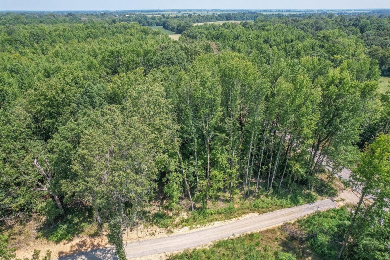 0 Tract 8a Highway 158, Harviell, Missouri 63945, ,Land,For Sale,Tract 8a Highway 158,MAR24050496