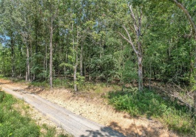 0 Tract 8c Highway 158, Harviell, Missouri 63945, ,Land,For Sale,Tract 8c Highway 158,MAR24050503
