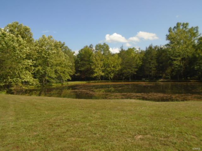 0 County Road 135, Annapolis, Missouri 63629, ,Farm,For Sale,County Road 135,MAR24049207