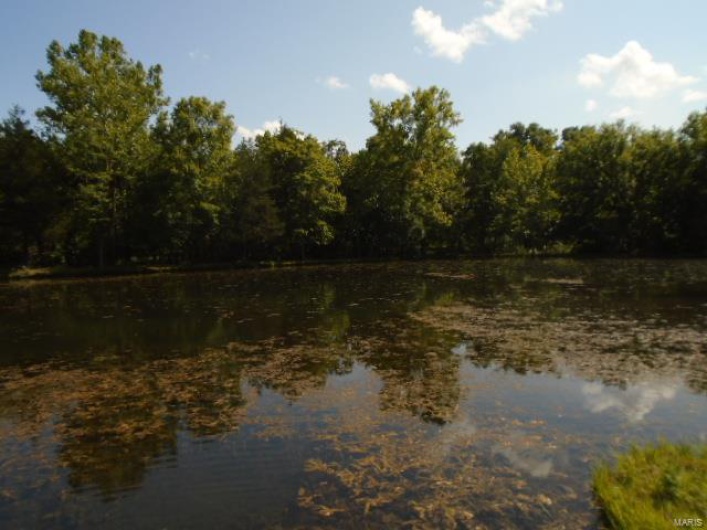 0 County Road 135, Annapolis, Missouri 63629, ,Farm,For Sale,County Road 135,MAR24049207
