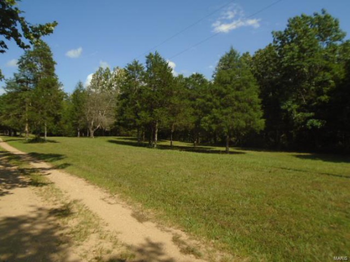 0 County Road 135, Annapolis, Missouri 63629, ,Farm,For Sale,County Road 135,MAR24049207