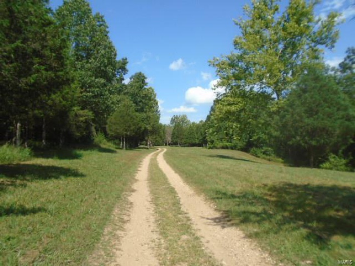 0 County Road 135, Annapolis, Missouri 63629, ,Farm,For Sale,County Road 135,MAR24049207