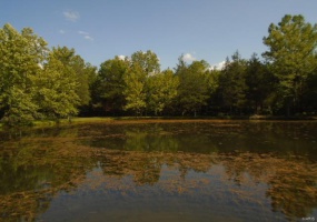 0 County Road 135, Annapolis, Missouri 63629, ,Farm,For Sale,County Road 135,MAR24049207