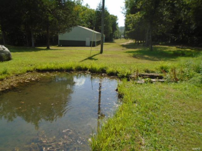 Sping that fills the pond