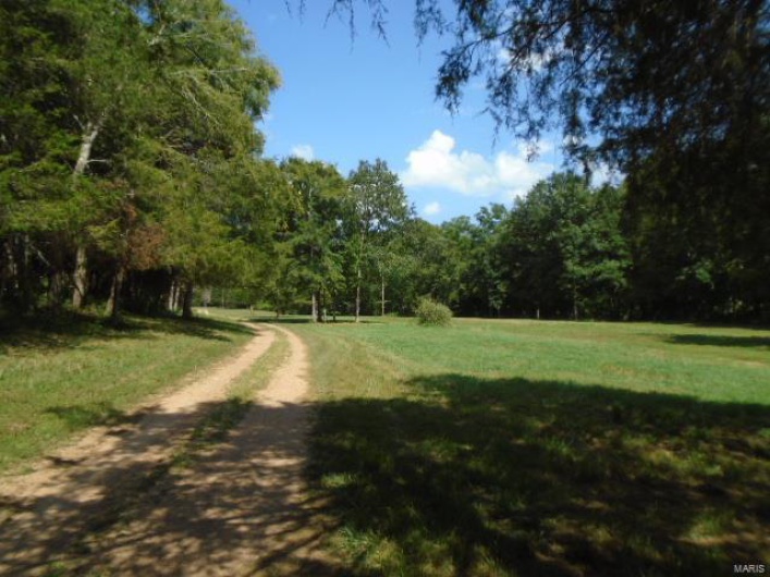 0 County Road 135, Annapolis, Missouri 63629, ,Farm,For Sale,County Road 135,MAR24049207