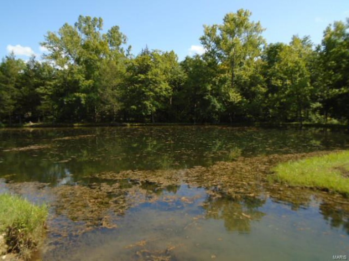 0 County Road 135, Annapolis, Missouri 63629, ,Farm,For Sale,County Road 135,MAR24049207