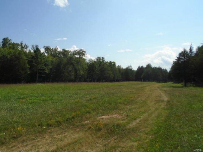 0 County Road 135, Annapolis, Missouri 63629, ,Farm,For Sale,County Road 135,MAR24049207