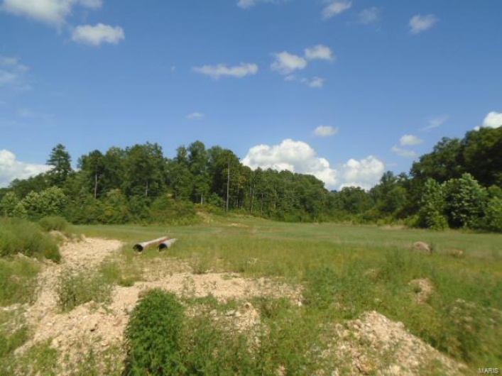 0 County Road 135, Annapolis, Missouri 63629, ,Farm,For Sale,County Road 135,MAR24049207