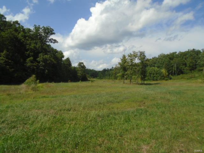 0 County Road 135, Annapolis, Missouri 63629, ,Farm,For Sale,County Road 135,MAR24049207