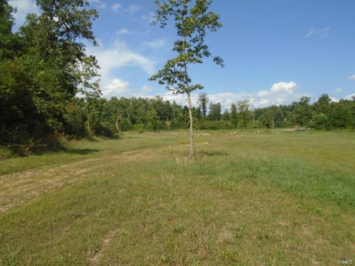 0 County Road 135, Annapolis, Missouri 63629, ,Farm,For Sale,County Road 135,MAR24049207