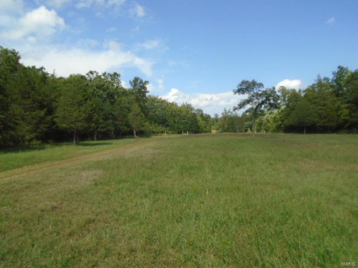 0 County Road 135, Annapolis, Missouri 63629, ,Farm,For Sale,County Road 135,MAR24049207