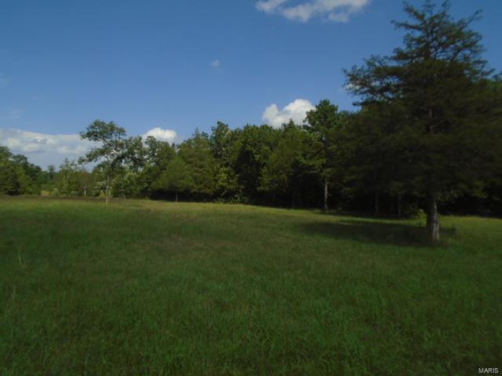 0 County Road 135, Annapolis, Missouri 63629, ,Farm,For Sale,County Road 135,MAR24049207