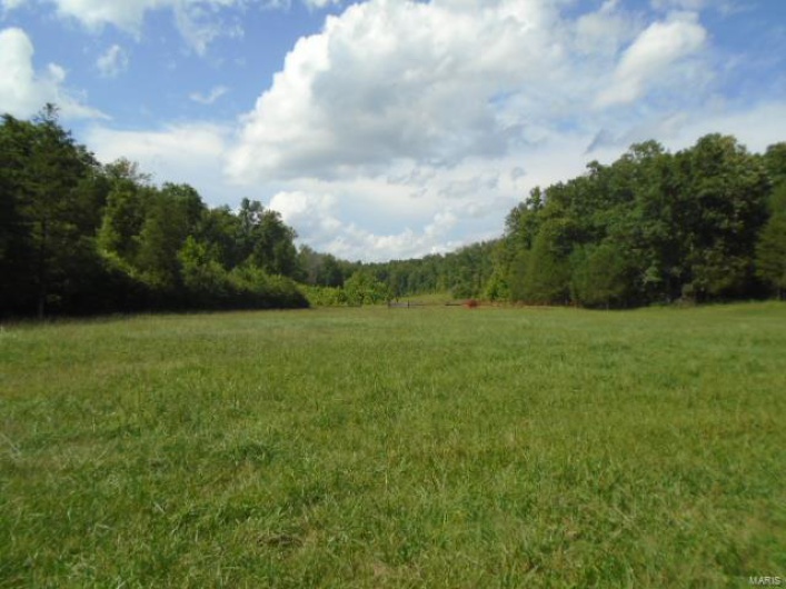 0 County Road 135, Annapolis, Missouri 63629, ,Farm,For Sale,County Road 135,MAR24049207