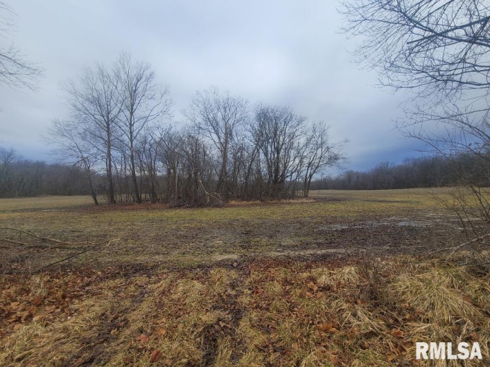 000 Brushy Creek Road, Thompsonville, Illinois 62890, 0 , 0 ,0,Land,For Sale,Brushy Creek,0,RMAEB456734
