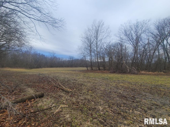 000 Brushy Creek Road, Thompsonville, Illinois 62890, 0 , 0 ,0,Land,For Sale,Brushy Creek,0,RMAEB456734