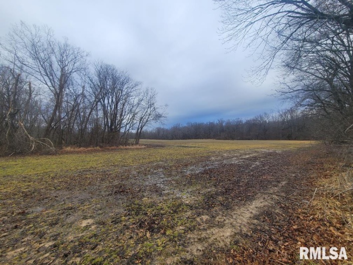 000 Brushy Creek Road, Thompsonville, Illinois 62890, 0 , 0 ,0,Land,For Sale,Brushy Creek,0,RMAEB456734