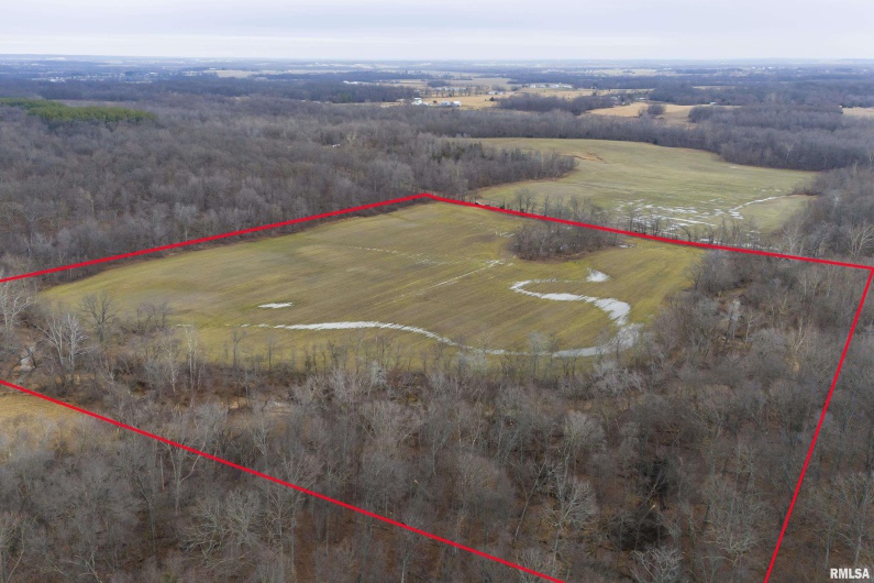 000 Brushy Creek Road, Thompsonville, Illinois 62890, 0 , 0 ,0,Land,For Sale,Brushy Creek,0,RMAEB456734