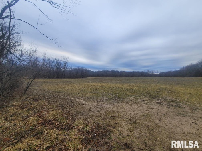 000 Brushy Creek Road, Thompsonville, Illinois 62890, 0 , 0 ,0,Land,For Sale,Brushy Creek,0,RMAEB456734