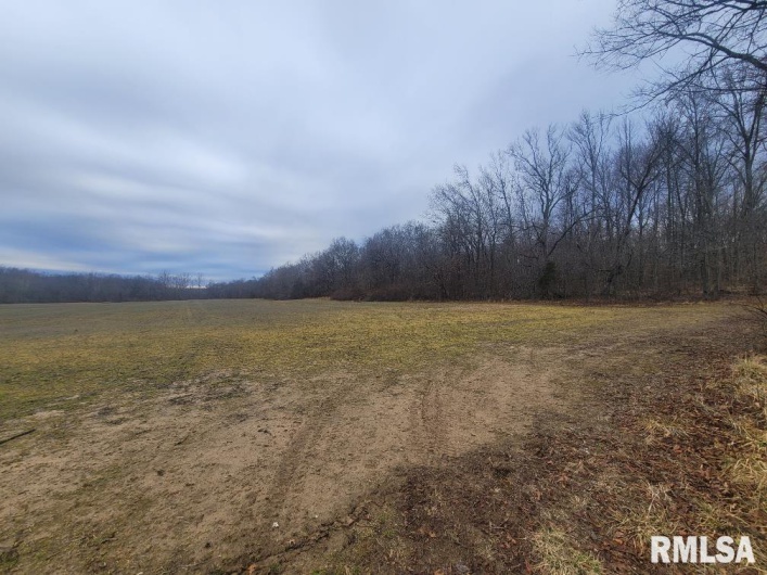 000 Brushy Creek Road, Thompsonville, Illinois 62890, 0 , 0 ,0,Land,For Sale,Brushy Creek,0,RMAEB456734