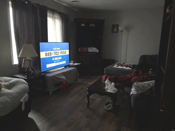 Living room featuring wood-type flooring
