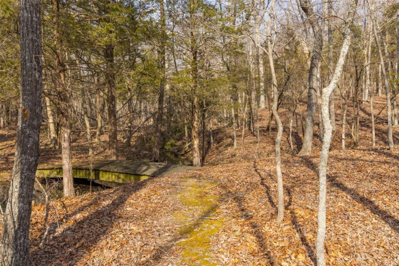 Woods