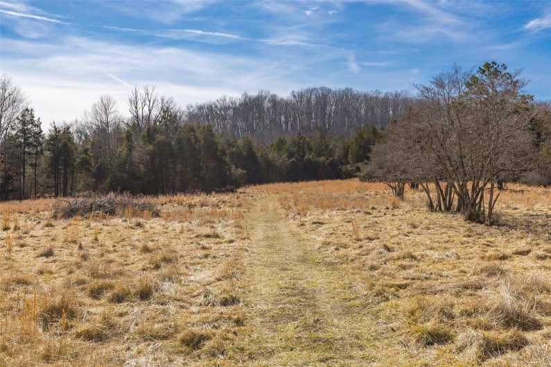 Pasture