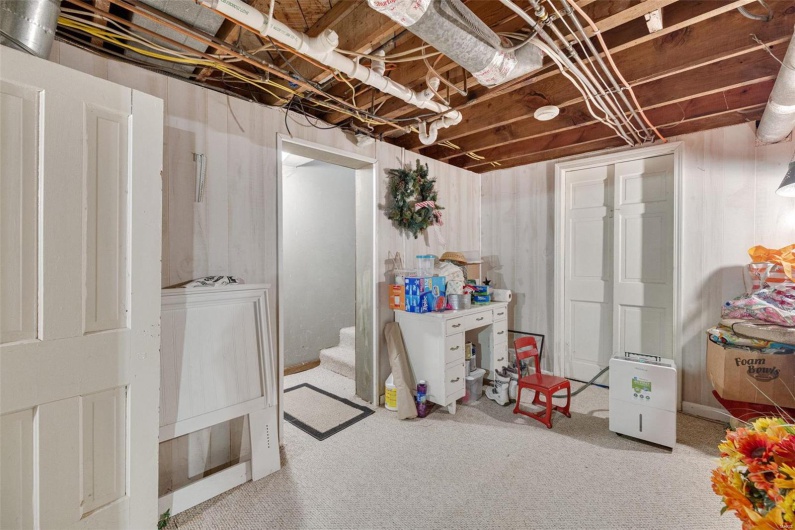 Basement with carpet floors