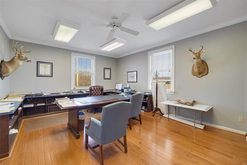 Office with crown molding, ceiling fan, and light hardwood / wood-style floors