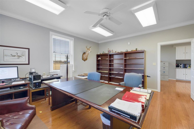 Home office featuring ceiling fan, crown molding, and light wood-type flooring