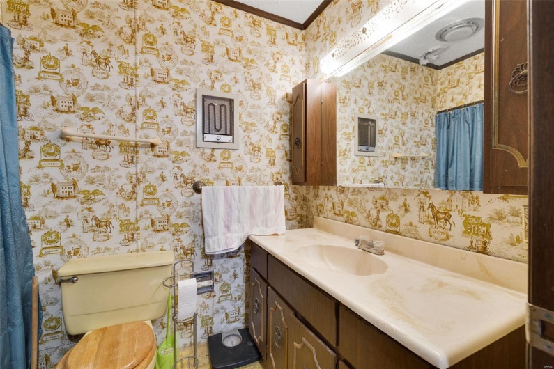 Bathroom featuring ornamental molding, vanity, and toilet