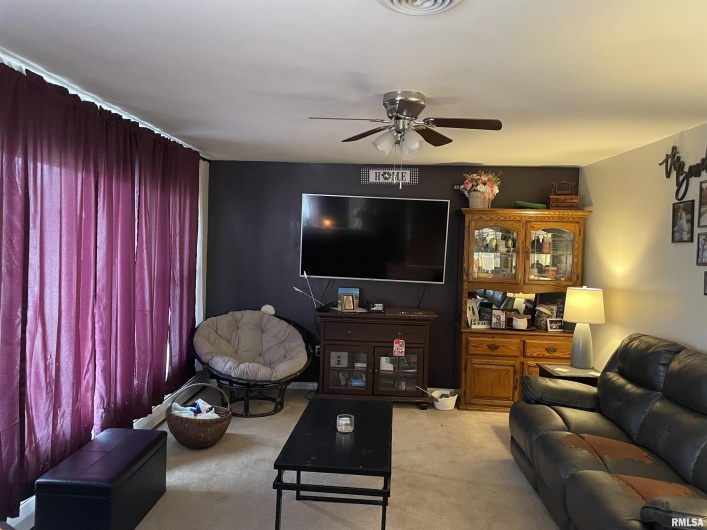 217 APPLE Lane, Anna, Illinois 62906, 3 Bedrooms Bedrooms, 0 ,3 BathroomsBathrooms,Residential,For Sale,APPLE,0,RMAEB456753