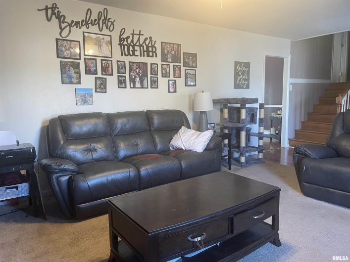217 APPLE Lane, Anna, Illinois 62906, 3 Bedrooms Bedrooms, 0 ,3 BathroomsBathrooms,Residential,For Sale,APPLE,0,RMAEB456753
