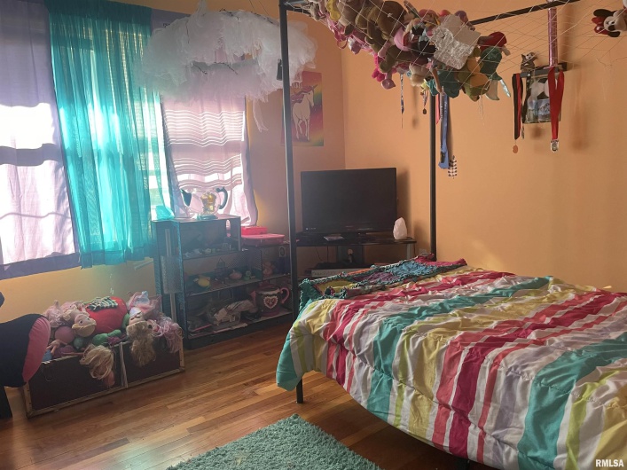 217 APPLE Lane, Anna, Illinois 62906, 3 Bedrooms Bedrooms, 0 ,3 BathroomsBathrooms,Residential,For Sale,APPLE,0,RMAEB456753