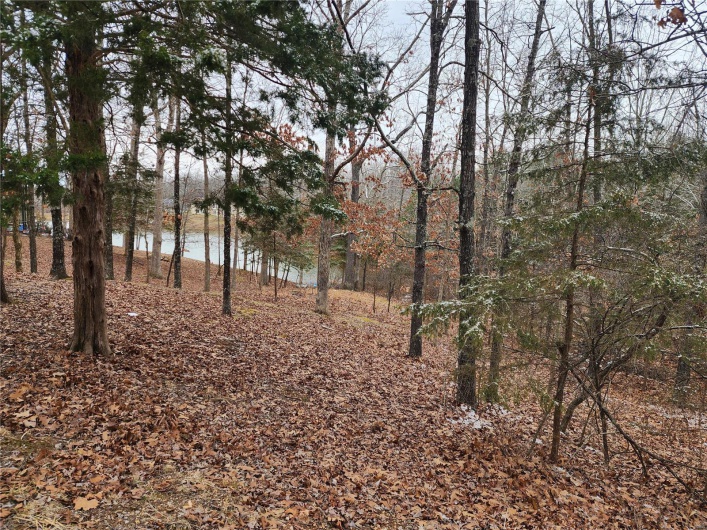 View of landscape featuring a water view