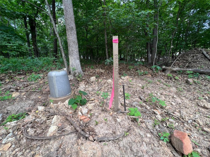 1038 Erie Trail, Perryville, Missouri 63775, ,Land,For Sale,Erie,MAR25008309