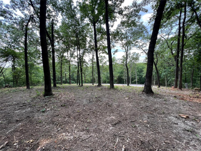 1038 Erie Trail, Perryville, Missouri 63775, ,Land,For Sale,Erie,MAR25008309