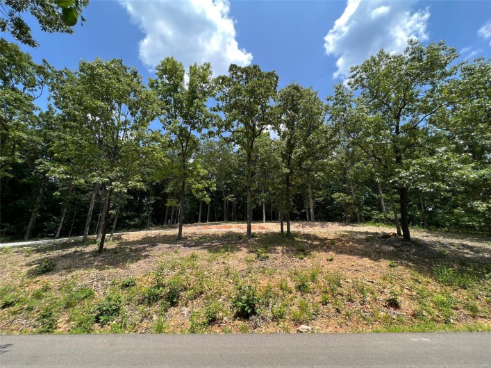 1038 Erie Trail, Perryville, Missouri 63775, ,Land,For Sale,Erie,MAR25008309
